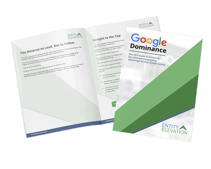 Google Dominance Google Dominance